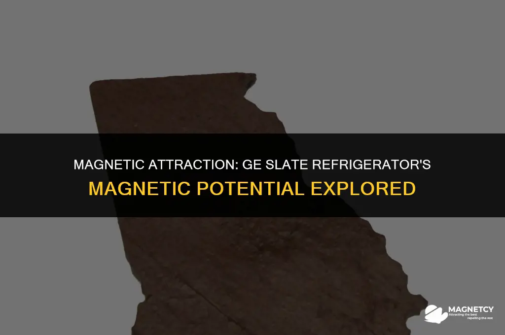 can you put magnets on ge slate refridgerator