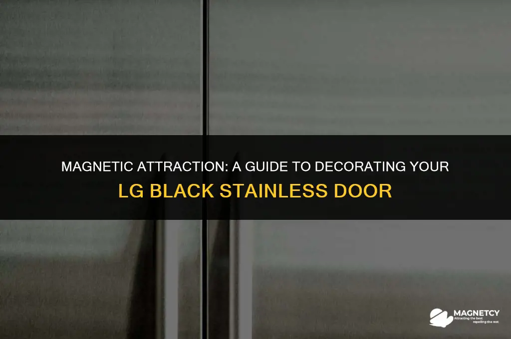 can you put magnets on lg door black stainless