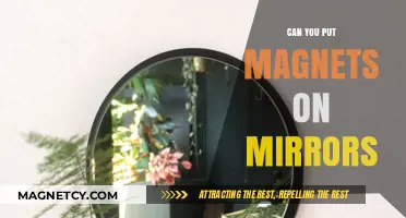 Exploring Magnetic Attractions: Do Mirrors and Magnets Mix?