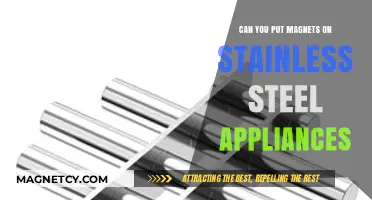 Magnet Magic: Do They Stick to Stainless Steel Appliances?