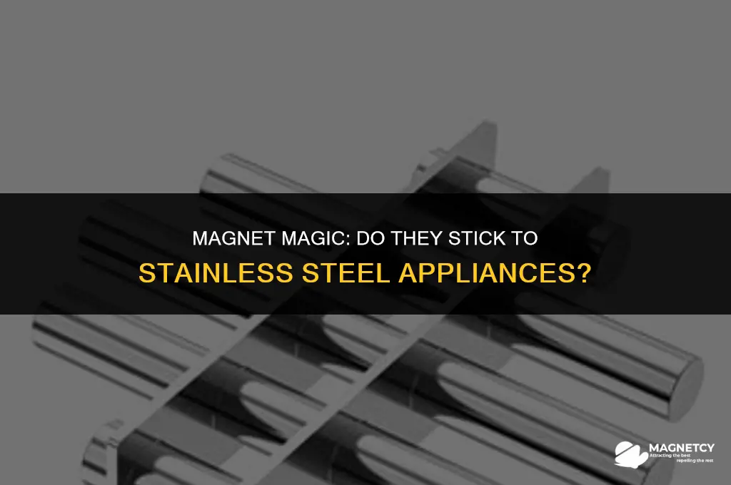 can you put magnets on stainless steel appliances