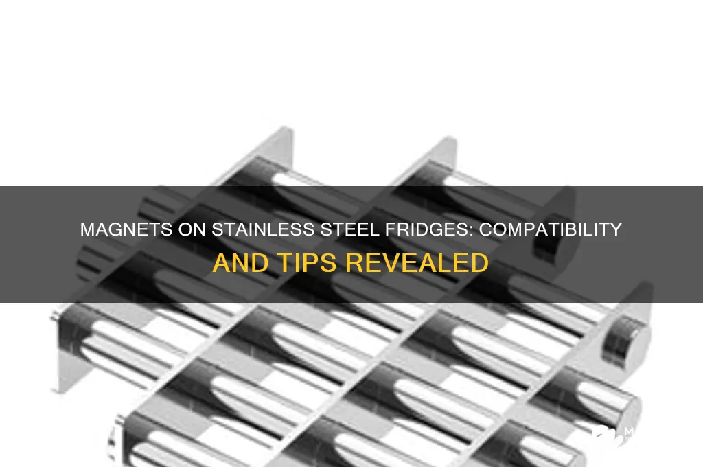can you put magnets on stainless steel refrigerators