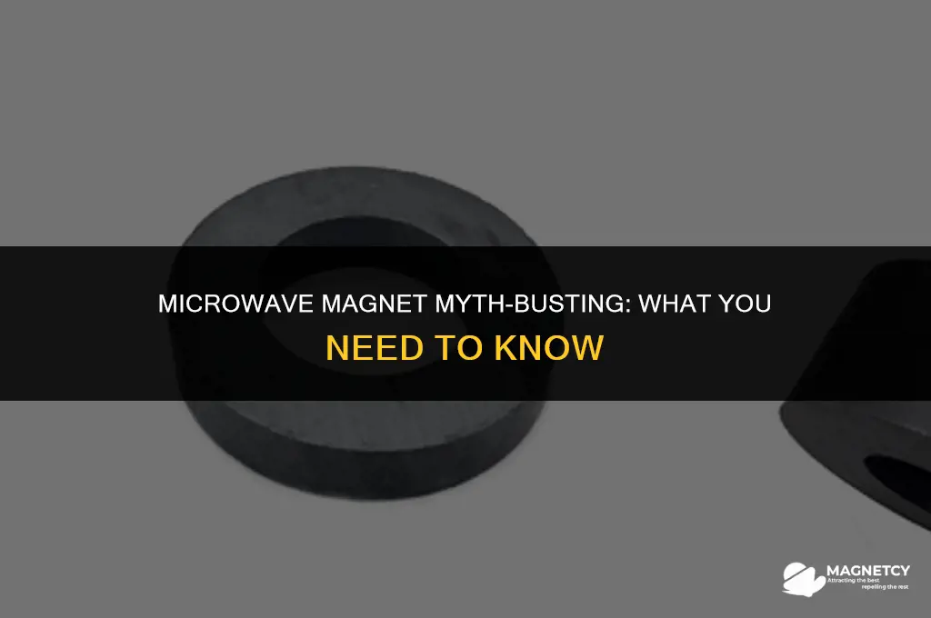 can you put magnets on the outside of a microwave