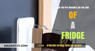 Magnetic Attraction: Exploring the Side of Your Fridge