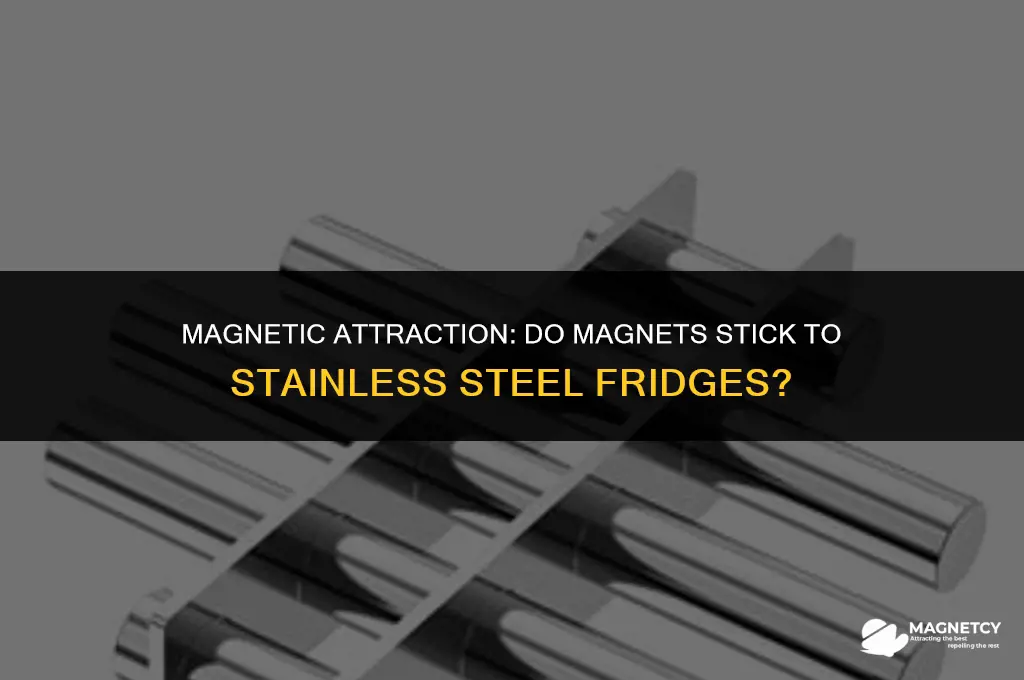 can you put magnets stainless steel fridge