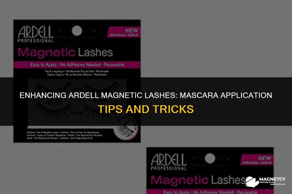 can you put mascara on ardell magnetic lashes