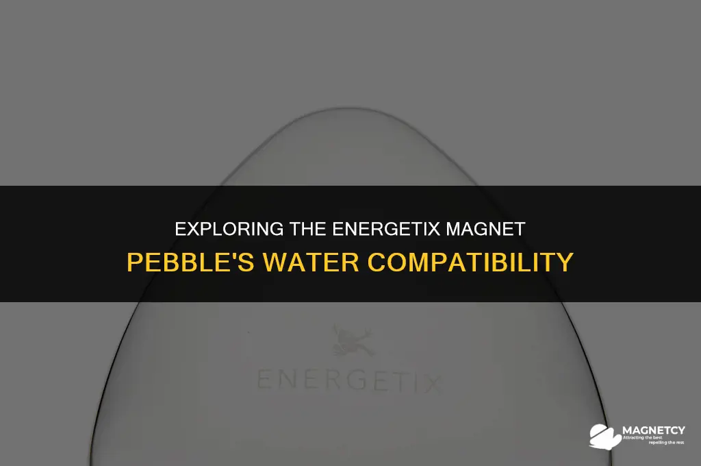 can you put the energetix magnet pebble in water