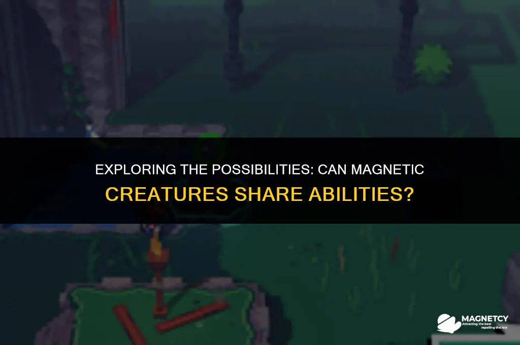 can you put the same ability on a magnetic creature