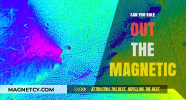 Unveiling the Mysteries: Can You Really Feel the Magnetic Pull?