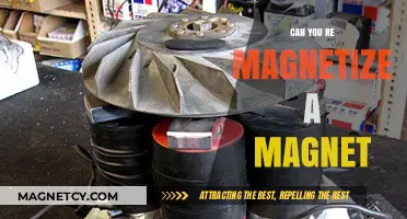 Reviving Magnetic Magic: Can You Re-Magnetize a Magnet?