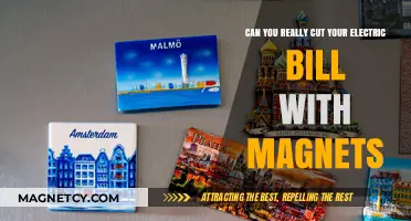 Slash Your Electric Bill: The Truth About Magnet Power