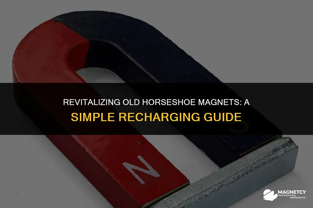 can you recharge a tired horseshoe magnet