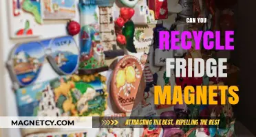 Exploring the Recycling Potential of Fridge Magnets: A Comprehensive Guide