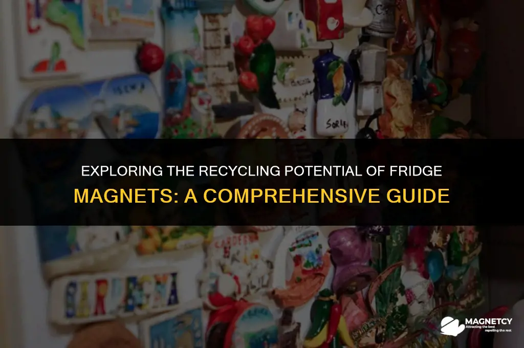 can you recycle fridge magnets
