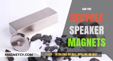 Unleashing Sustainability: The Truth About Recycling Speaker Magnets