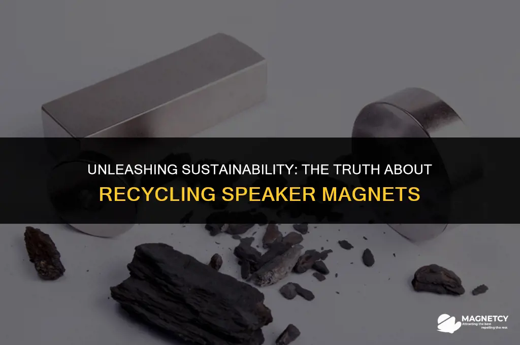 can you recycle speaker magnets