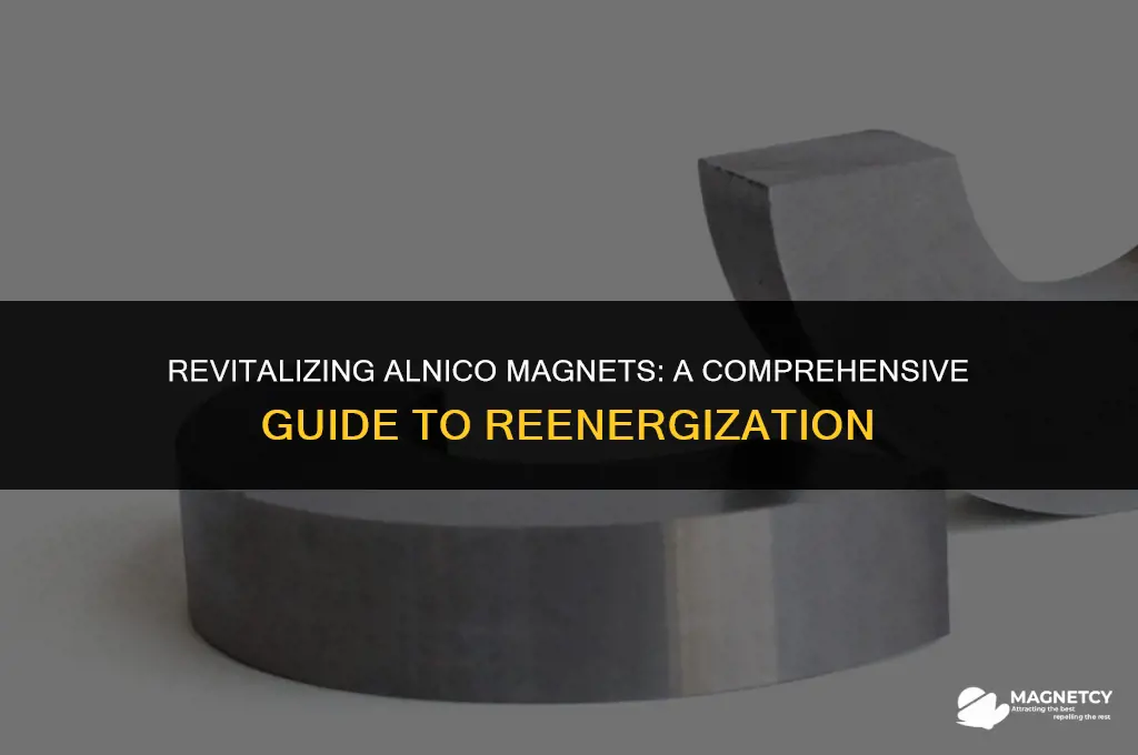 can you reergize an alnico magnet