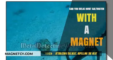 Unveiling Treasures: Relic Hunting Saltwater with a Magnet