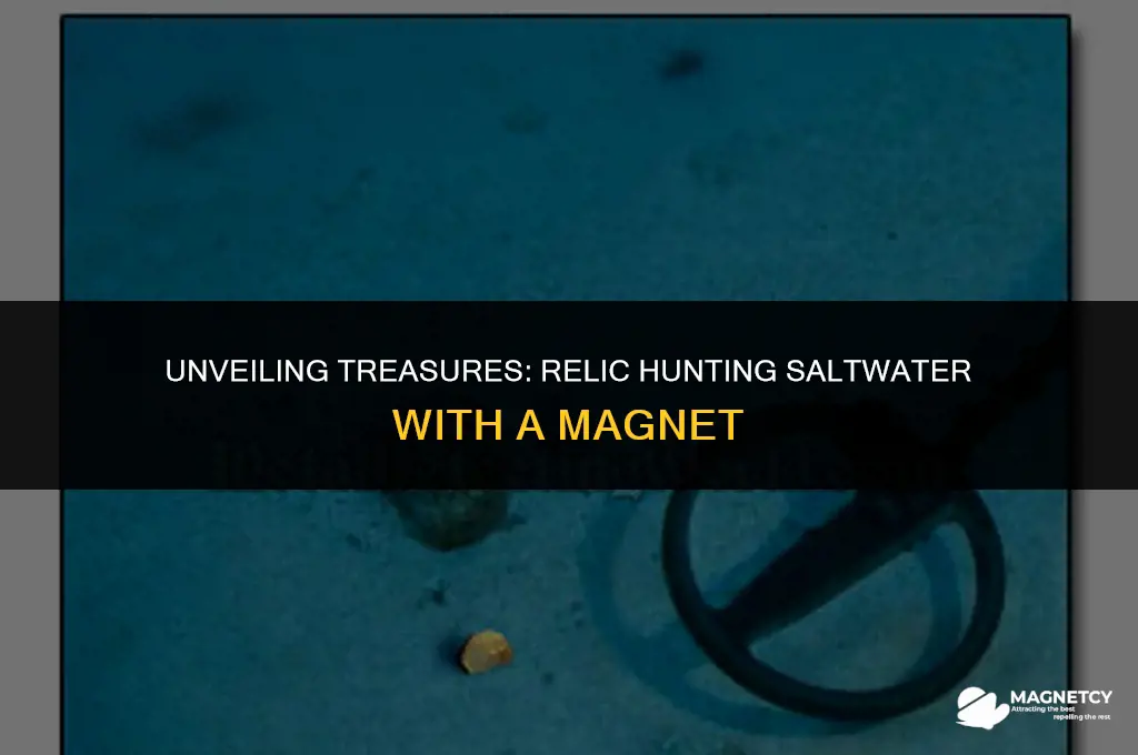 can you relic hunt saltwater with a magnet