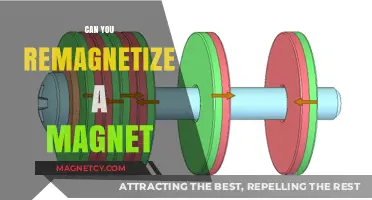 Reviving Magnetic Power: Can You Remagnetize a Magnet Effectively?