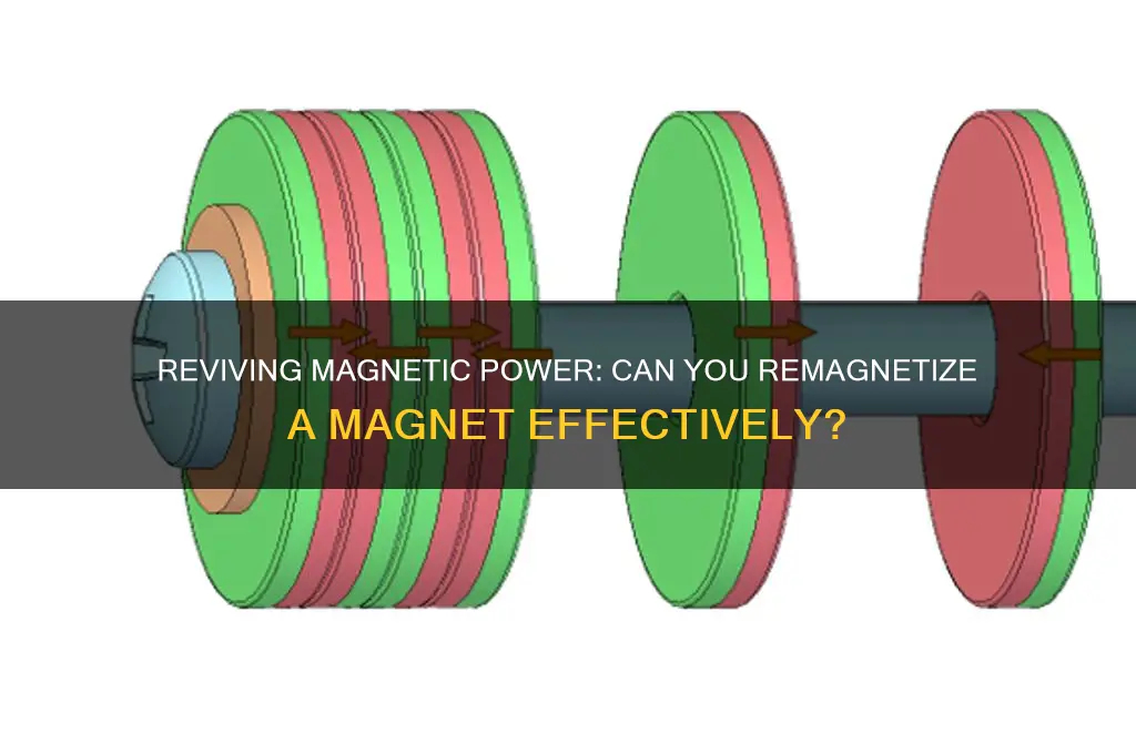 can you remagnetize a magnet