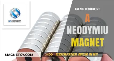 Reviving Magnetic Power: Can You Remagnetize a Neodymium Magnet?