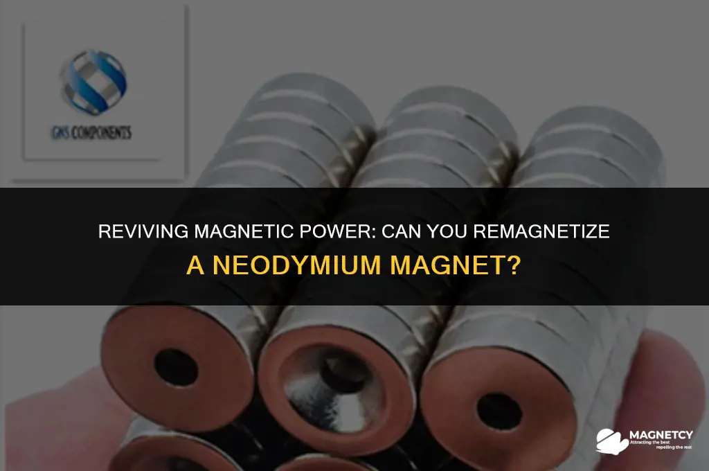 can you remagnetize a neodymium magnet