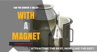 Magnetic Bullet Removal: Science Fiction or Reality?