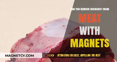 Safely Extracting Buckshot from Meat Using Magnets: A Guide