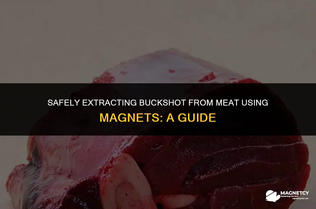 can you remove buckshot from meat with magnets
