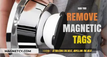 Demystifying Magnetic Tag Removal: A Comprehensive Guide