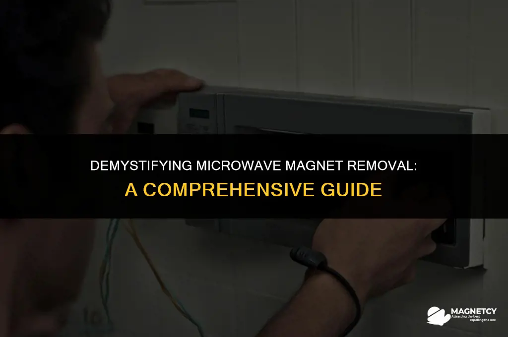 can you remove the magnets on a microwave