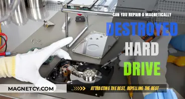 Reviving Data: Can You Repair a Magnetically Destroyed Hard Drive?