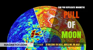 Unveiling the Lunar Tug: Can We Replicate the Moon's Magnetic Pull?