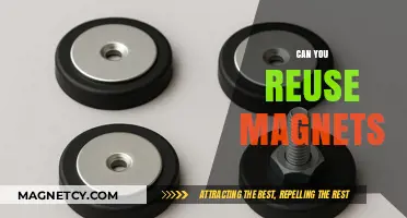 Exploring the Reusability of Magnets: A Comprehensive Guide