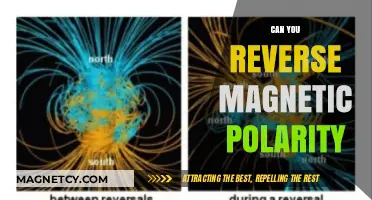 Exploring the Possibilities: Can Magnetic Polarity Be Reversed?