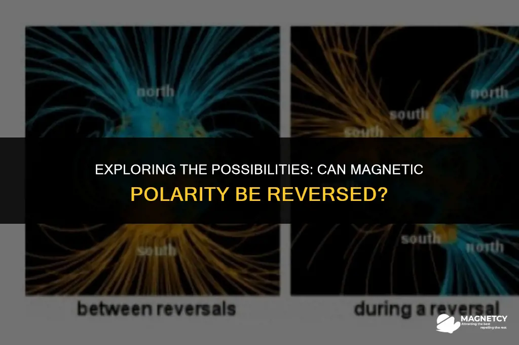 can you reverse magnetic polarity