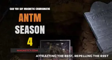Charismatic and Magnetic: A Recap of ANTM Season 4's Unforgettable Moments