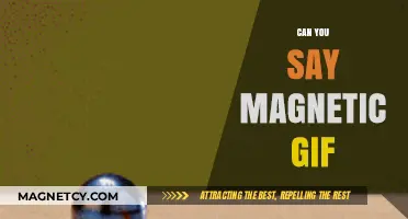 Exploring the Possibilities: Can You Really Say 'Magnetic GIF'?