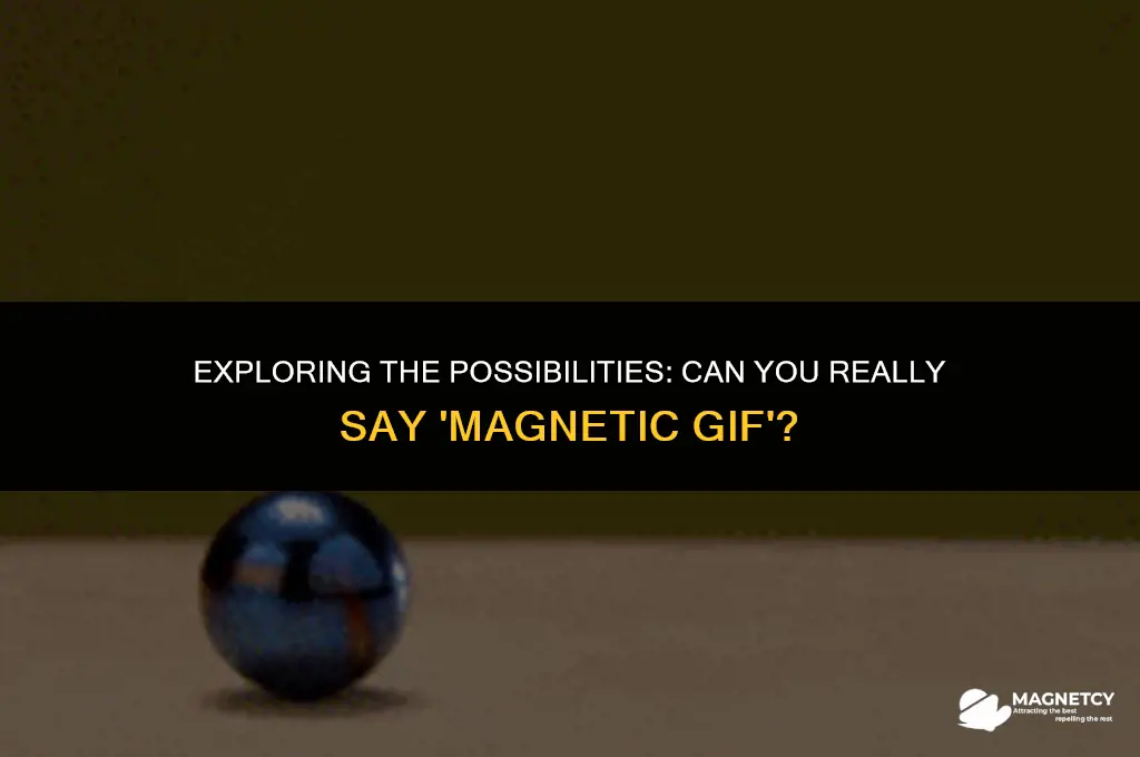 can you say magnetic gif