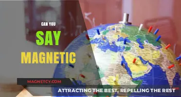 Exploring the Fascinating World of Magnetism: Can You Say Magnetic?