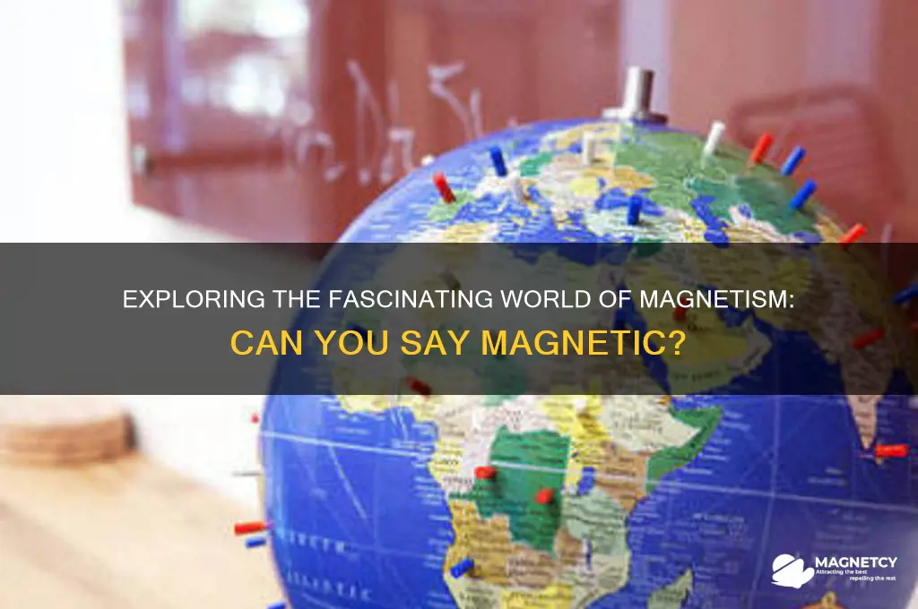 can you say magnetic