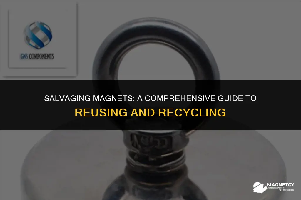 can you scrap magnets