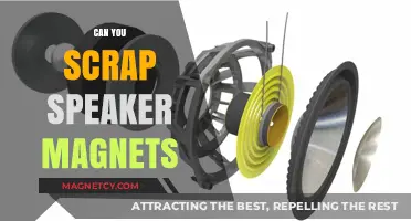 Salvaging Speaker Magnets: A Guide to Reuse and Recycle