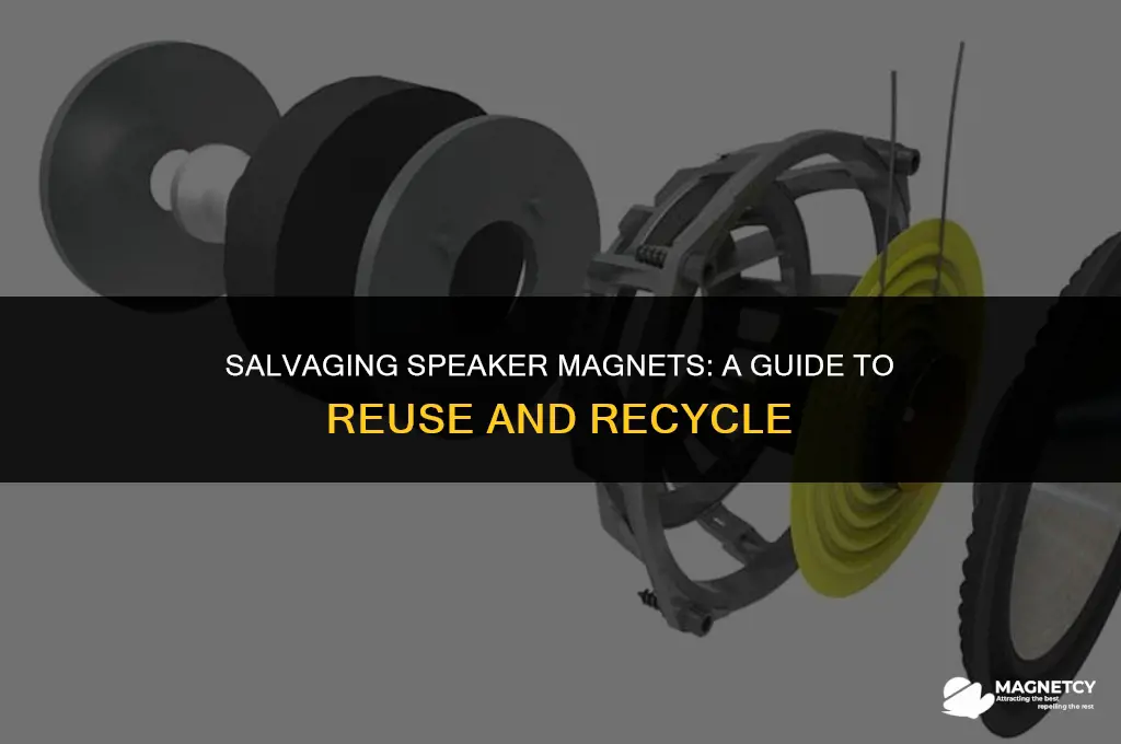 can you scrap speaker magnets