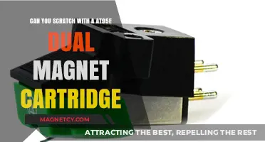 Exploring the Unique Sound of AT95E Dual Magnet Cartridges