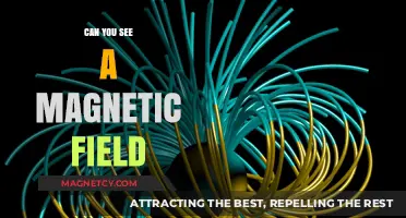 Unveiling the Invisible: Exploring the Mysteries of Magnetic Fields