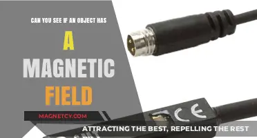 Exploring Magnetism: How to Detect a Magnetic Field in Objects