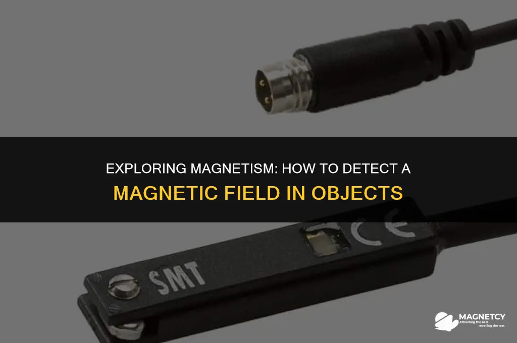 can you see if an object has a magnetic field