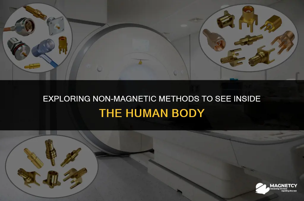can you see inside the body without magnet